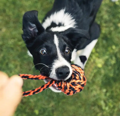 Cotton Ball, Bone, Chew Toy, Fetch Toy, Tug Toy, Treat Dispensing Toy, Tough Toy, Soft Toy, Rubber Toy For Dog