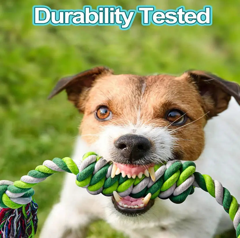 Cotton Ball, Bone, Chew Toy, Fetch Toy, Tug Toy, Treat Dispensing Toy, Tough Toy, Soft Toy, Rubber Toy For Dog