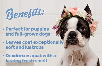 Breedo (Combo of 3) Dog 5 in 1 Shampoo +Anti-Itch Shampoo(500 ml)+ 100 ml Perfect Dog Body Deodorizer Spray Natural Itch Relief Dog Shampoo for Labrador, German Shepherd, Golden Retriever