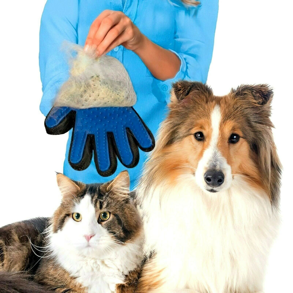 Pet Grooming Gloves - CDesk Dropship