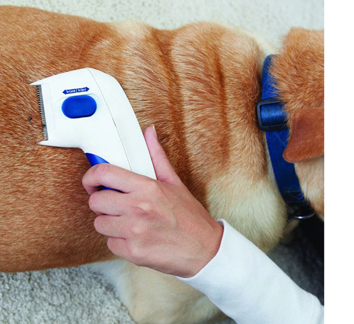 FLEA DOCTOR™ - CDesk Dropship